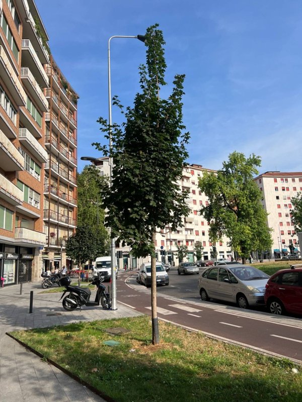 appartamento in affitto a Milano in zona Lorenteggio