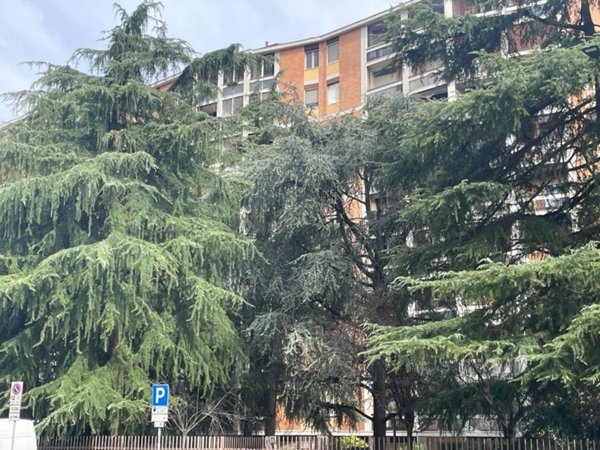 appartamento in affitto a Milano in zona Gallaratese