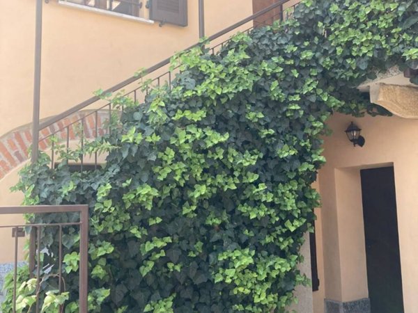 appartamento in affitto a Milano in zona Bocconi