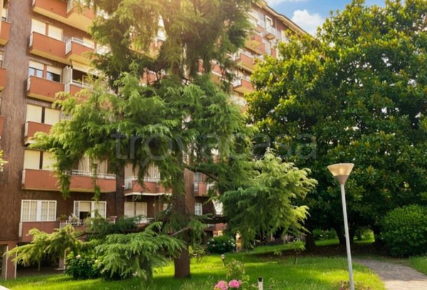 appartamento in affitto a Milano in zona Lambrate