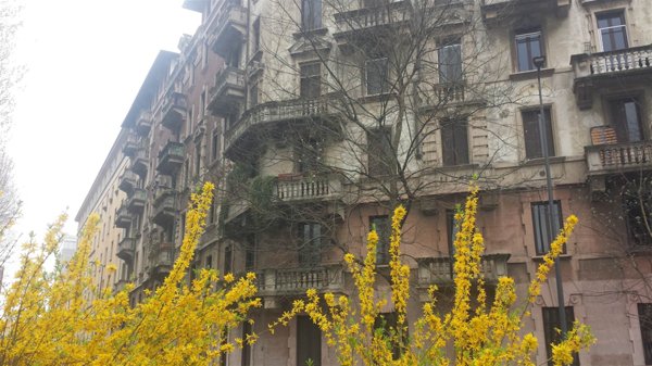appartamento in affitto a Milano in zona XXII Marzo