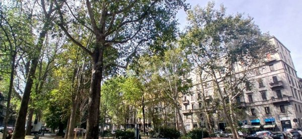 appartamento in affitto a Milano in zona Porta Venezia