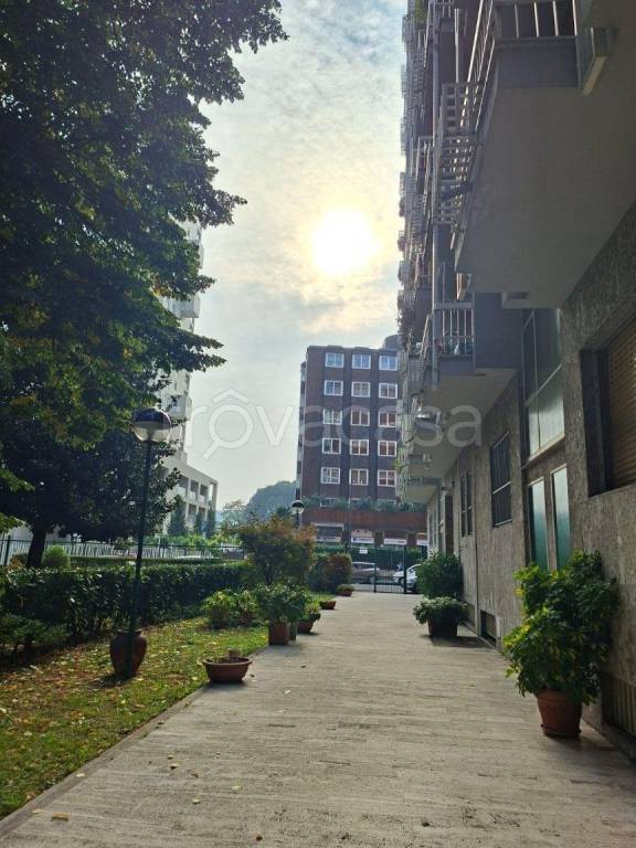 appartamento in affitto a Milano in zona Maggiolina