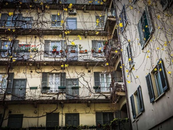 appartamento in affitto a Milano in zona Solari