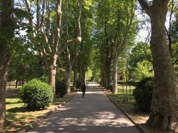 appartamento in affitto a Milano in zona NoLo