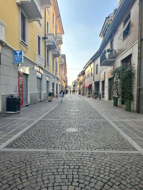 appartamento in affitto a Novate Milanese