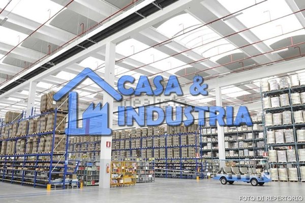 capannone in affitto a Novate Milanese