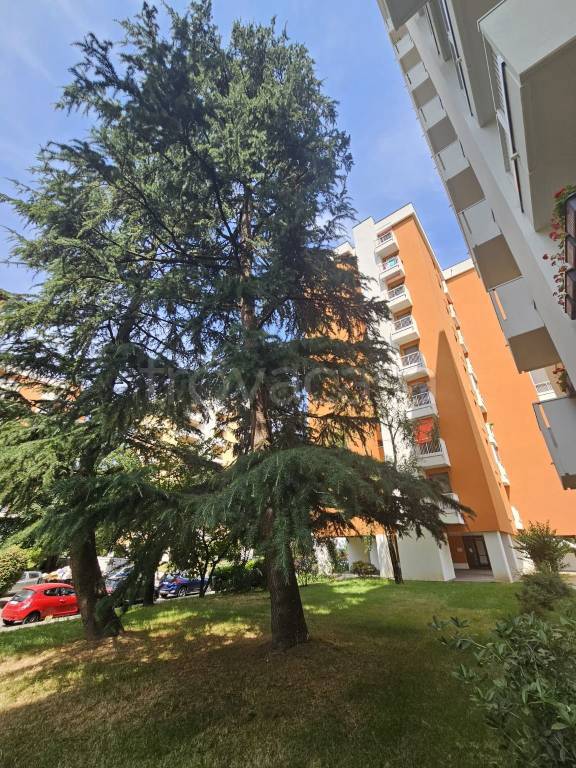 appartamento in affitto ad Opera