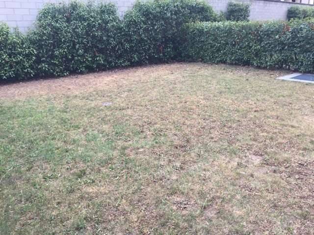 appartamento in affitto a Parabiago