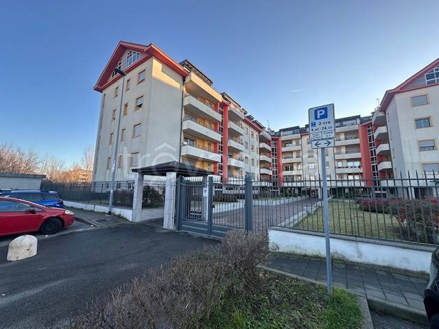 appartamento in affitto a Pero