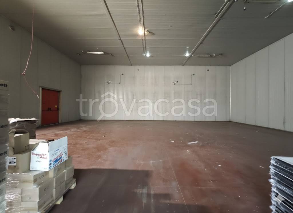 appartamento in affitto a Pero