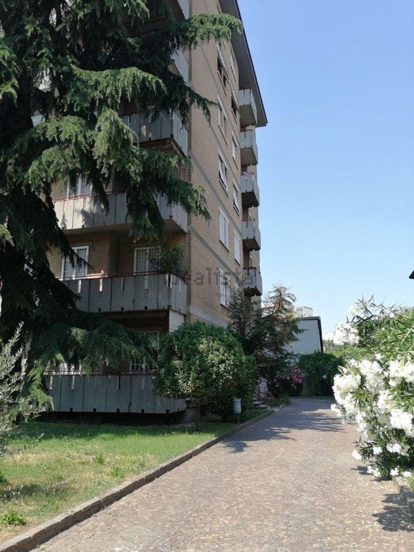 appartamento in affitto a Pero