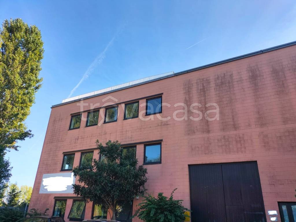 appartamento in affitto a Peschiera Borromeo