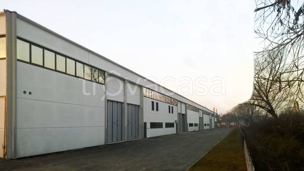 negozio in affitto a Peschiera Borromeo in zona Linate