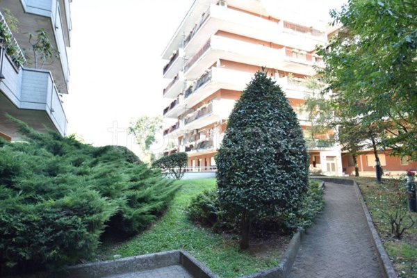 appartamento in affitto a Peschiera Borromeo