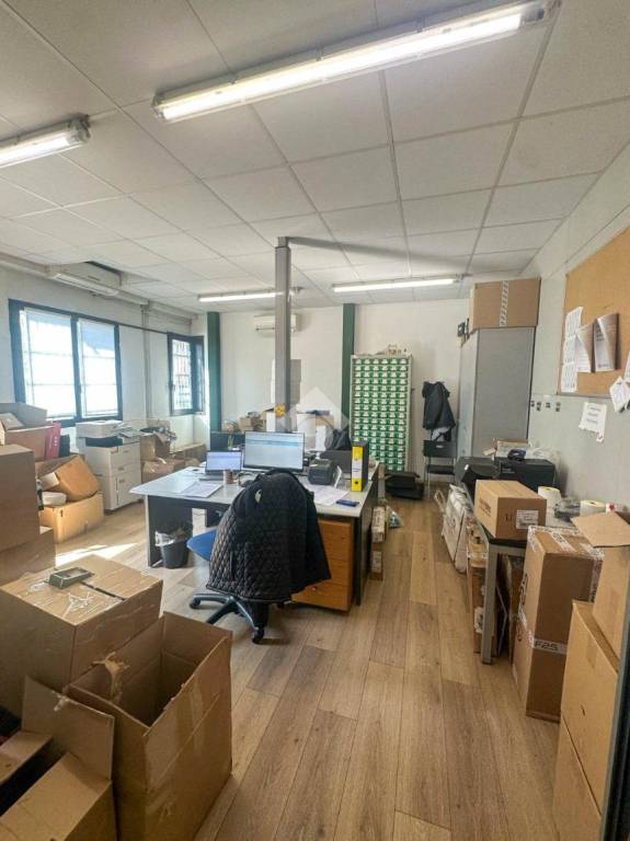 appartamento in affitto a Peschiera Borromeo in zona Linate