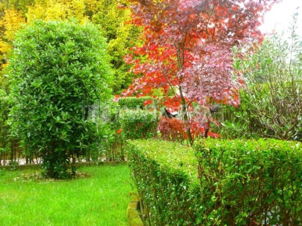 appartamento in affitto a Peschiera Borromeo