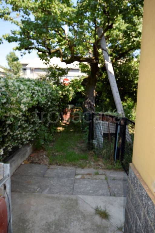 appartamento in affitto a Peschiera Borromeo