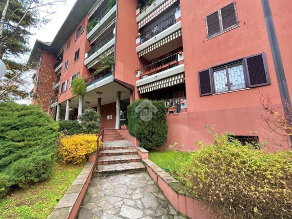 appartamento in affitto a Peschiera Borromeo