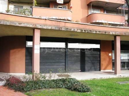 appartamento in affitto a Pieve Emanuele in zona Fizzonasco