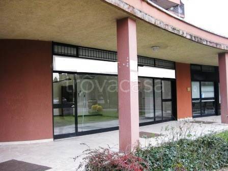 appartamento in affitto a Pieve Emanuele in zona Fizzonasco
