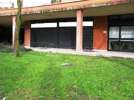 appartamento in affitto a Pieve Emanuele in zona Fizzonasco
