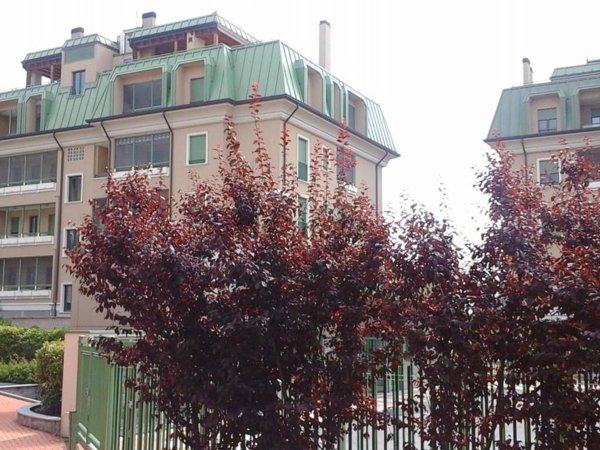 appartamento in affitto a Pieve Emanuele