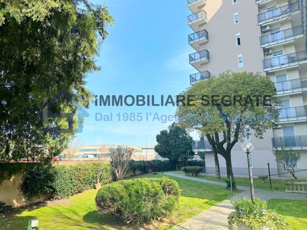 appartamento in affitto a Pioltello