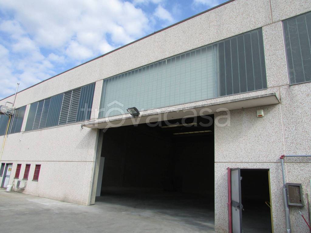 appartamento in affitto a Pioltello