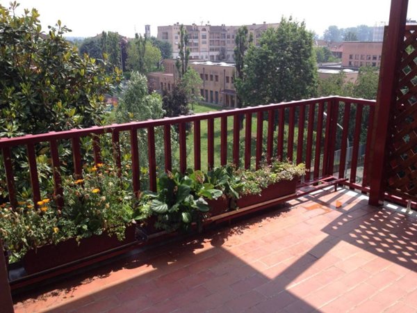 appartamento in affitto a Pioltello