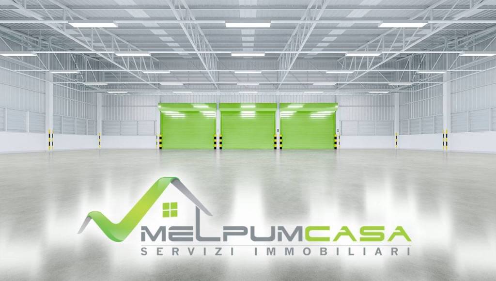 immagine annuncio 0 di 11
