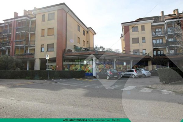 loft in affitto a Pregnana Milanese