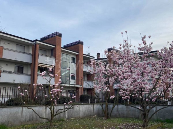 appartamento in affitto a Pregnana Milanese