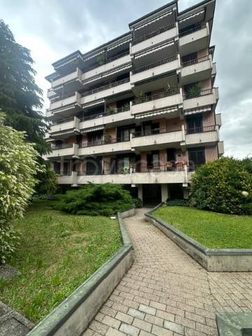 appartamento in affitto a Rho
