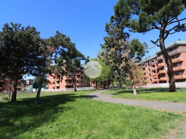 appartamento in affitto a Rho in zona Mazzo