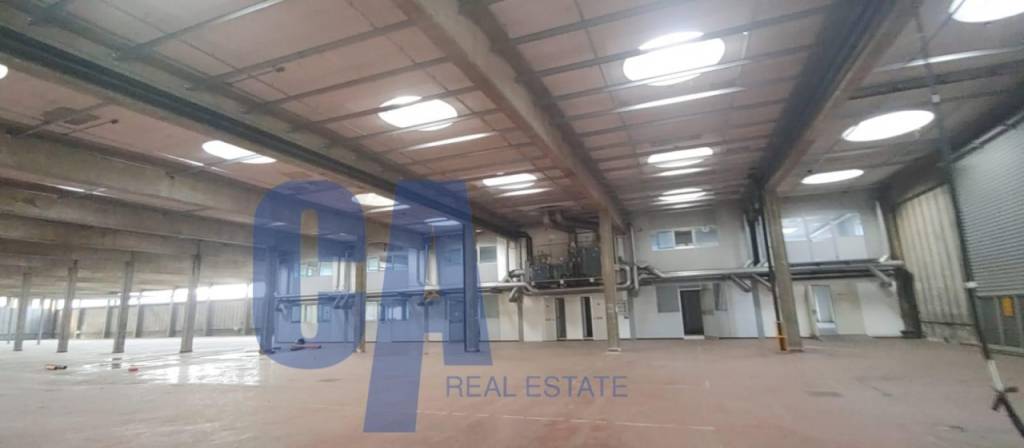 negozio in affitto a Rodano