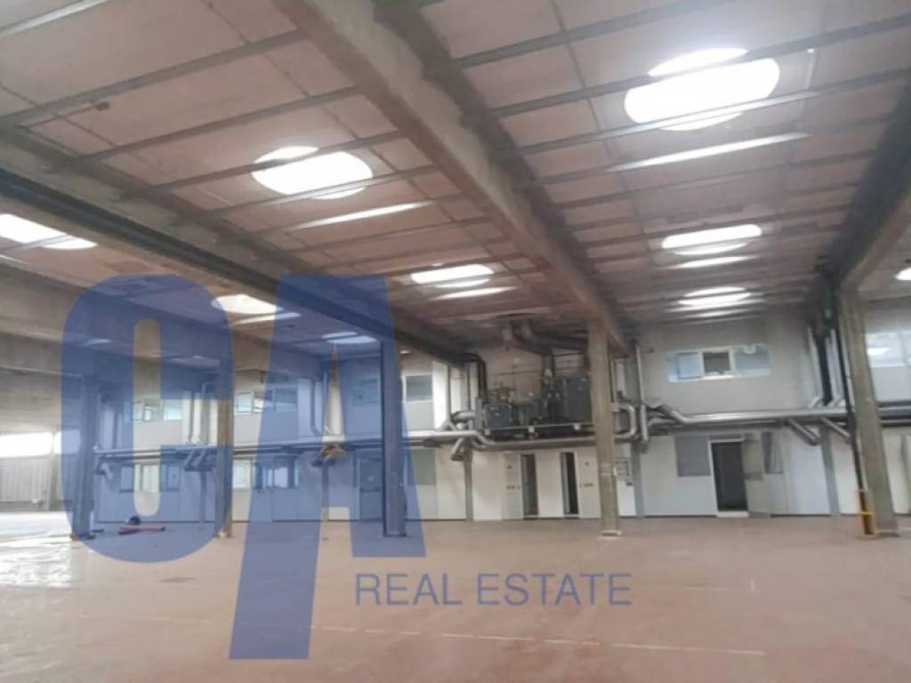 negozio in affitto a Rodano