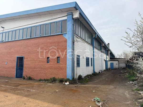 appartamento in affitto a Rozzano