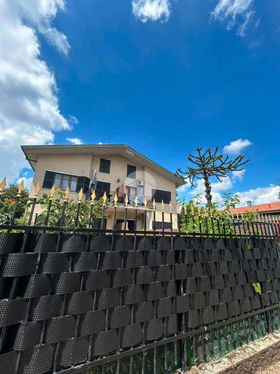 appartamento in affitto a Rozzano