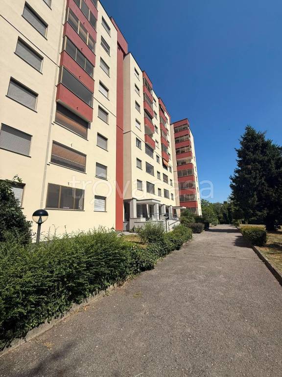 appartamento in affitto a Rozzano