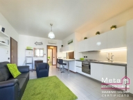 appartamento in affitto a San Donato Milanese
