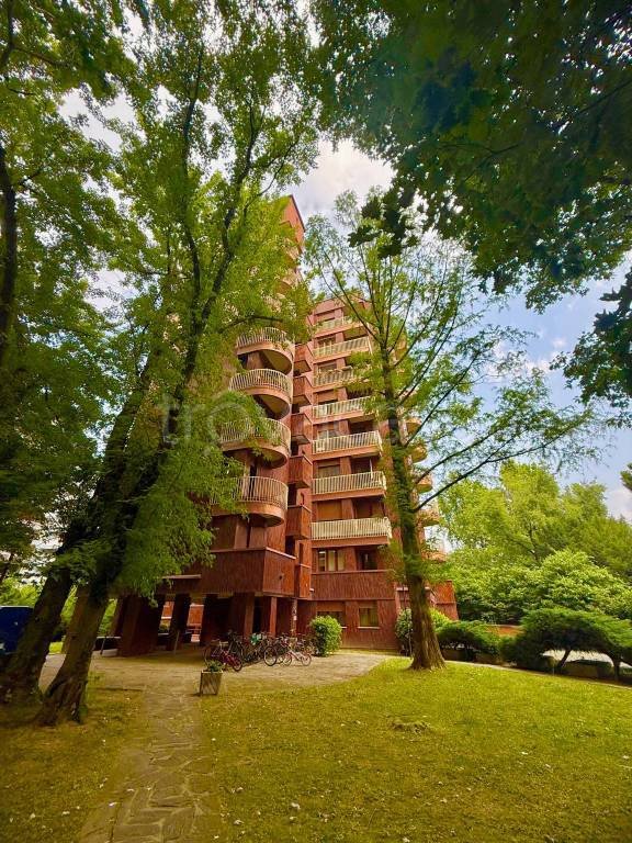 appartamento in affitto a San Donato Milanese