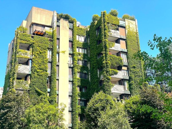 appartamento in affitto a San Donato Milanese