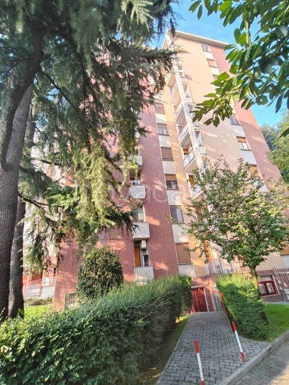 appartamento in affitto a San Donato Milanese