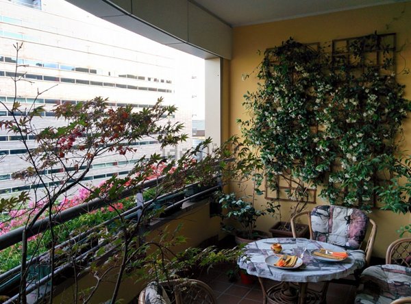 appartamento in affitto a San Donato Milanese