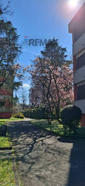 appartamento in affitto a San Donato Milanese