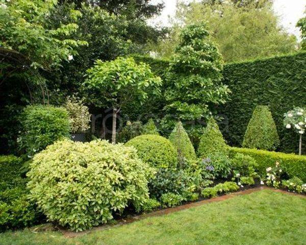 casa indipendente in affitto a San Giuliano Milanese