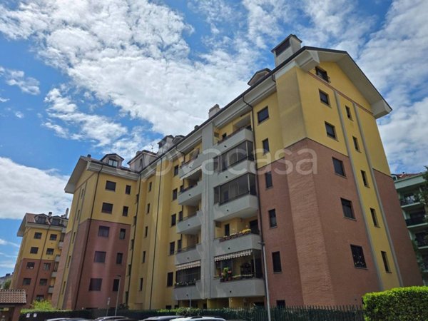 appartamento in affitto a San Giuliano Milanese