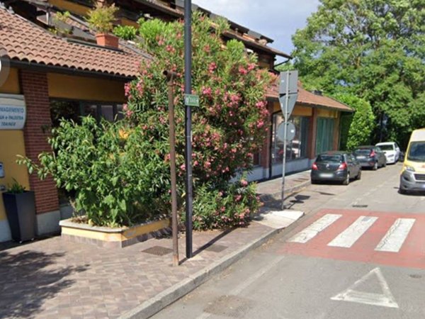negozio in affitto a Segrate in zona Novegro