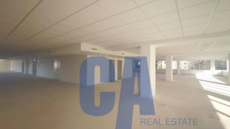 loft in affitto a Segrate